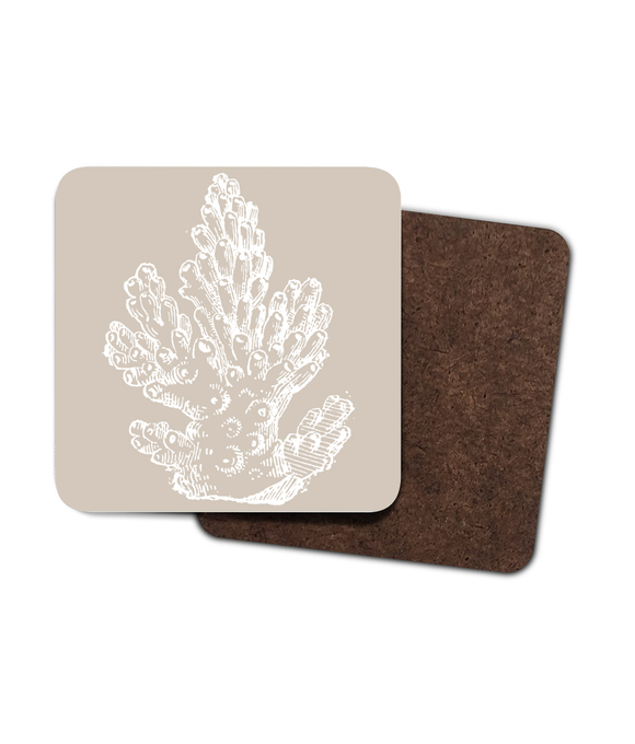 Coasters – Set of 4 - Pillar Coral – White on Taupe