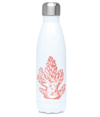 Thermal Drinks Bottle – 500ml – Stainless Steel - Pillar Coral - Coral on White