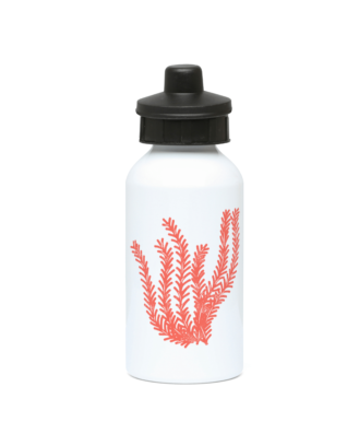 Gym / Sports Water Bottle - 400ml – Aluminium – Seagrass - Coral on White