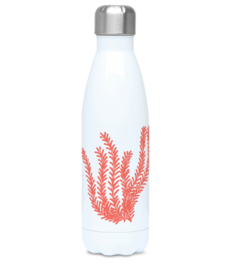 Thermal Drinks Bottle – 500ml – Stainless Steel - Seagrass - Coral on White