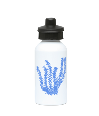 Gym / Sports Water Bottle - 400ml – Aluminium – Seagrass – Cornflower Blue on White