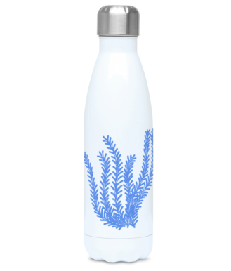 Thermal Drinks Bottle – 500ml – Stainless Steel - Seagrass – Cornflower Blue on White