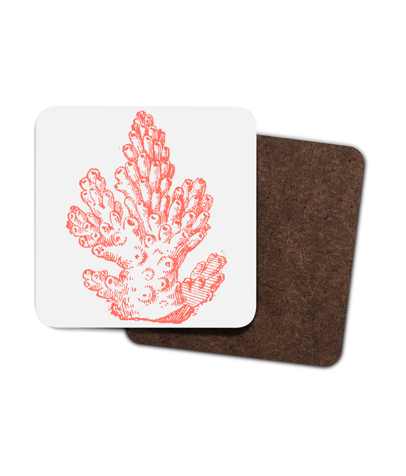 Coasters – Set of 4 – Pillar Coral - Coral on Warm White