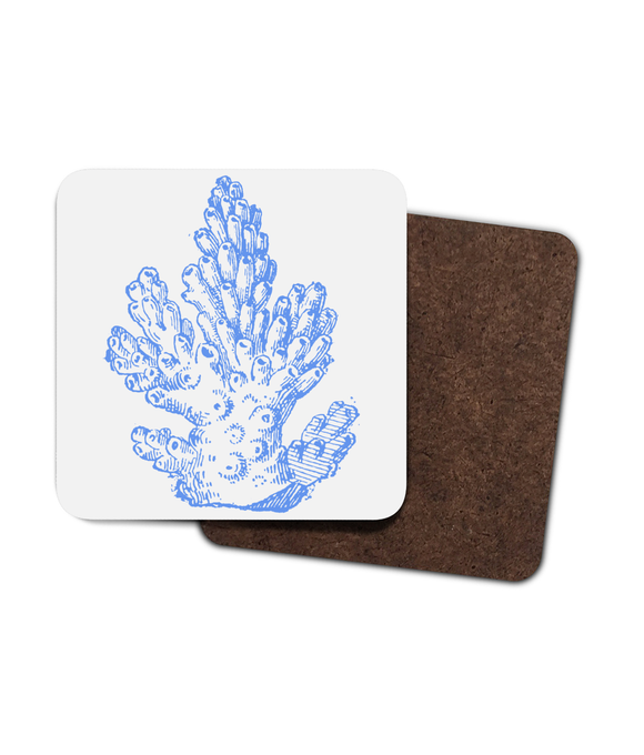 Coasters – Set of 4 - Pillar Coral – Cornflower Blue on Warm White